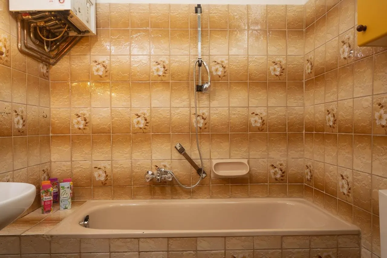 Designer Apartments Near Schoenbrunn Vienne