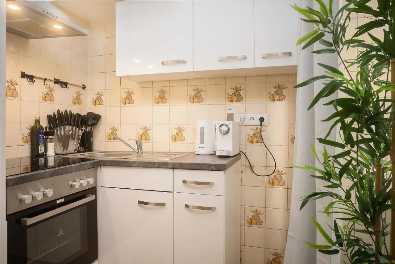 Designer Apartments Near Schoenbrunn Vienne