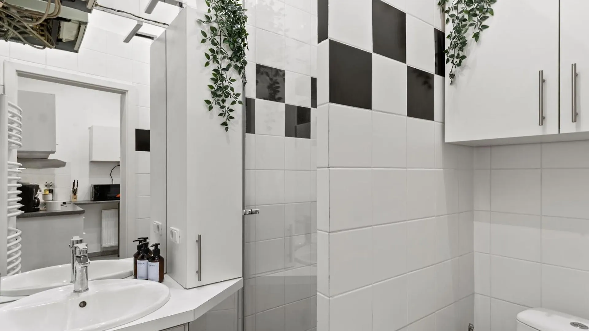Designer Apartments Near Schoenbrunn Vienne